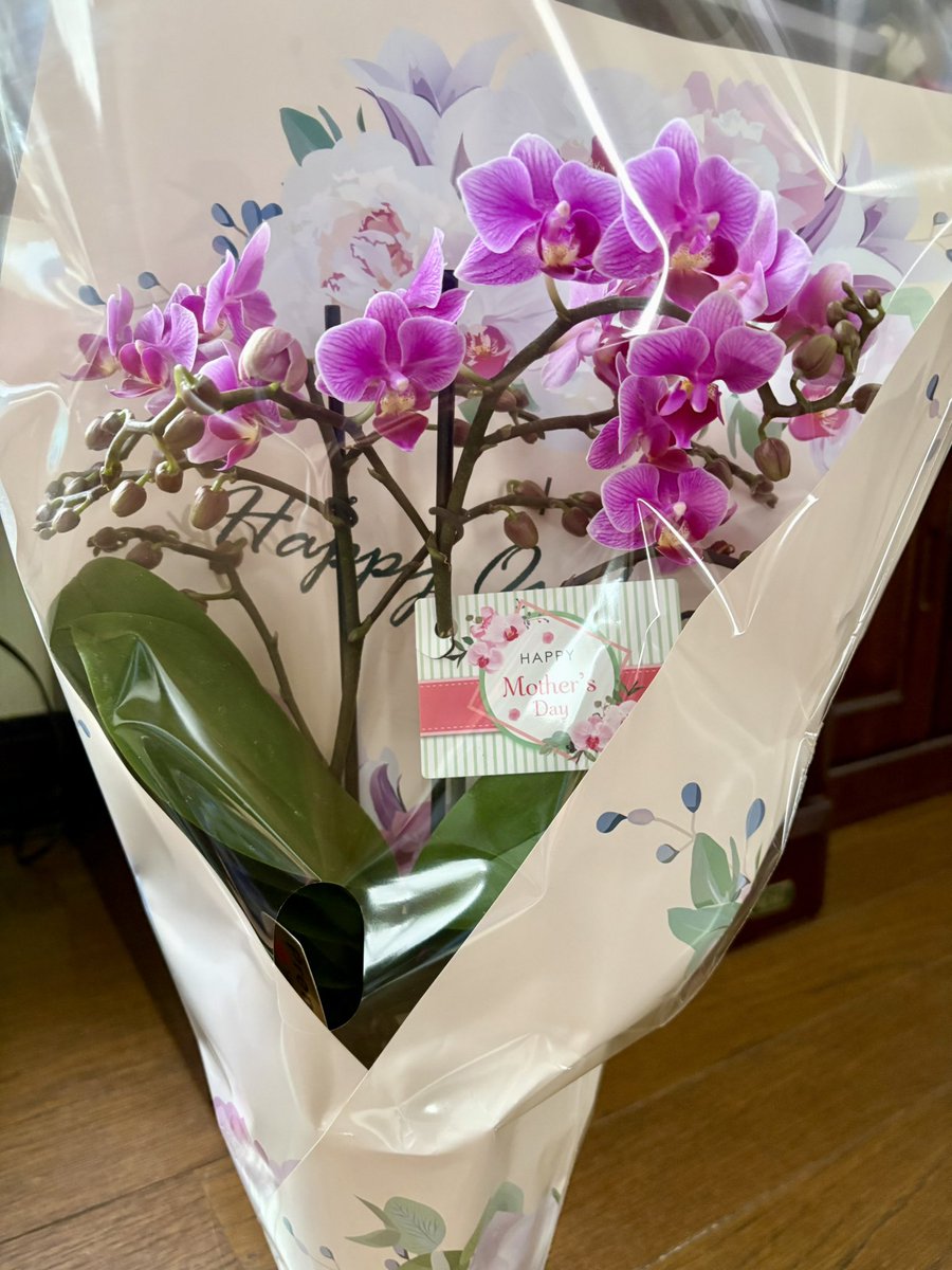 志穂さん、皆さん、ありがとうございました❣️ 日曜日は母の日💐 今朝