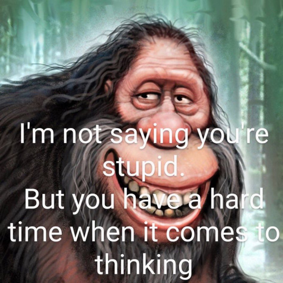 Squatch Mode Patriot 🇺🇸 tweet media