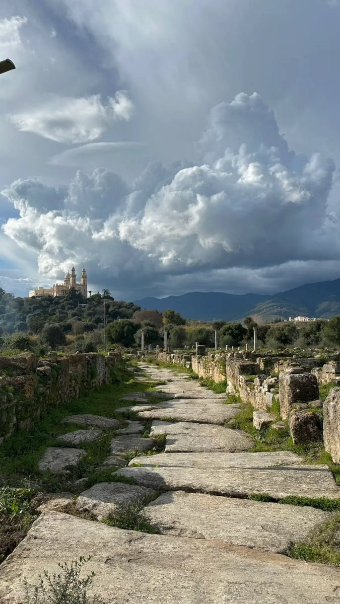 aseelswaid9's tweet photo. St. Augustine's Church in Annaba, Algeria https://t.co/hEqAHgrtQf