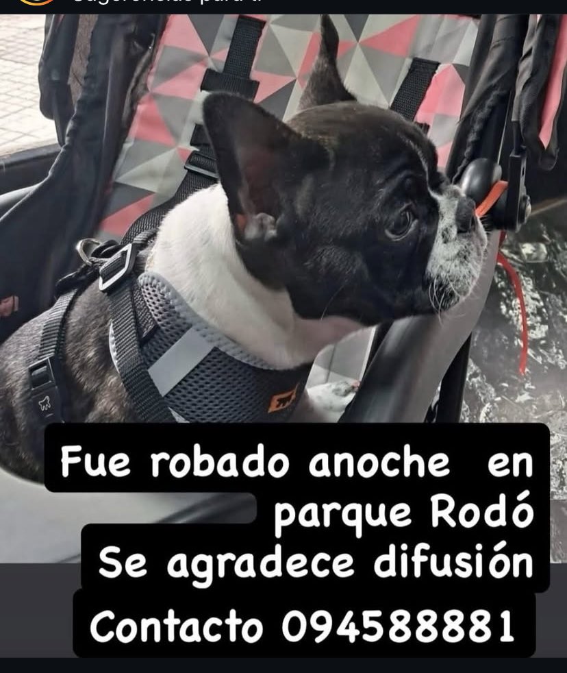 Compartan 🙏🏻🙏🏻🙏🏻🙏🏻