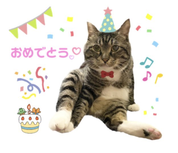 gin2hiro's tweet photo. @lao0928 お誕生日おめでとうございます🎂
ミルクボランティアも頑張って下さい‼︎
応援してます✨ 尊敬してます✨✨ https://t.co/eRKXTpuHM8