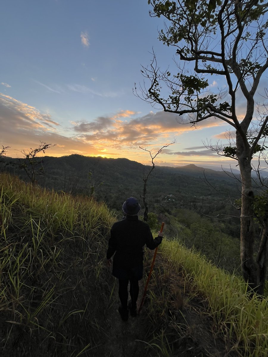 Dosmoag's tweet photo. Good morning Mr. 🌄 https://t.co/0g5VLGegdt