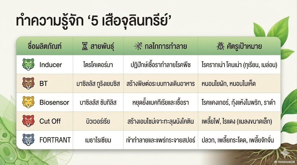 #5เสือจุลินทรีย์ชีวภาพ #ชีวภัณฑ์ #หินแร่ภูเขาไฟ #ปุ๋ยอินทรีย์ #ชมรมเกษตรปลอดสารพิษแห่งประเทศไทย #thaigreenagro #ไทยกรีนอะโกร #เกตรปลอดภัยใส่ใจสิ่งแวดล้อม