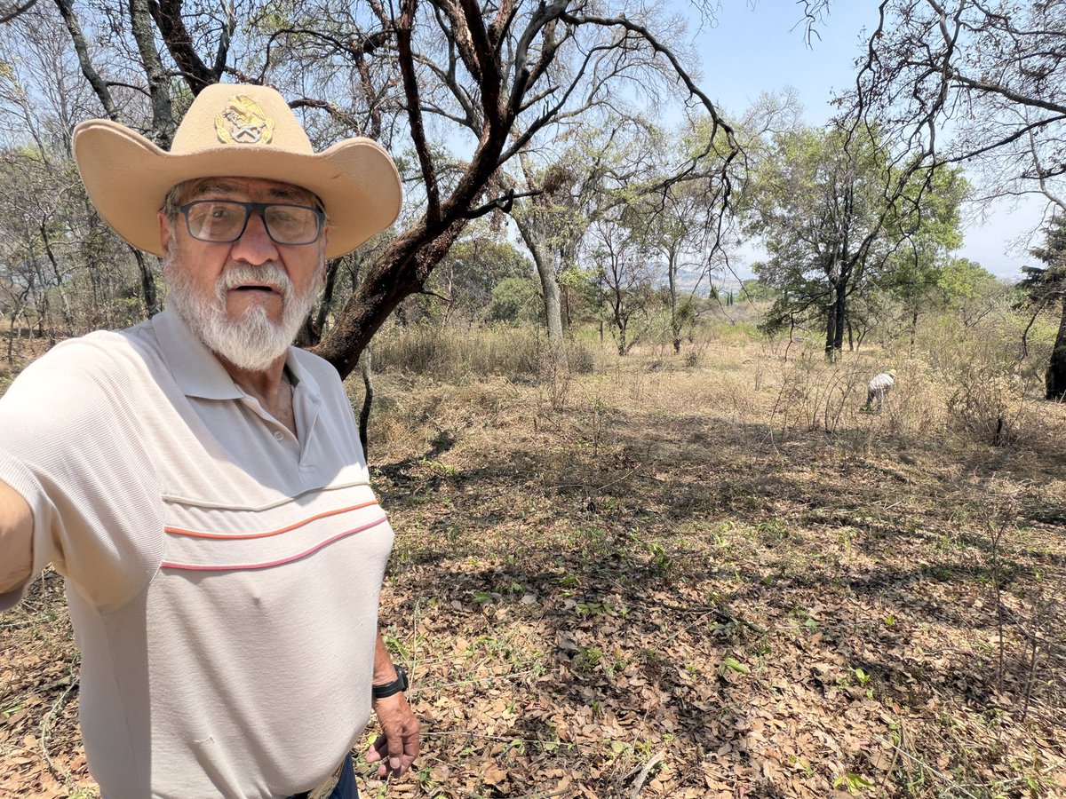 El Compa Ñero🦉 tweet media