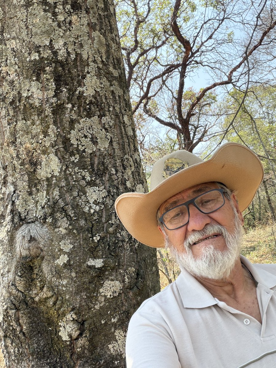 El Compa Ñero🦉 tweet media