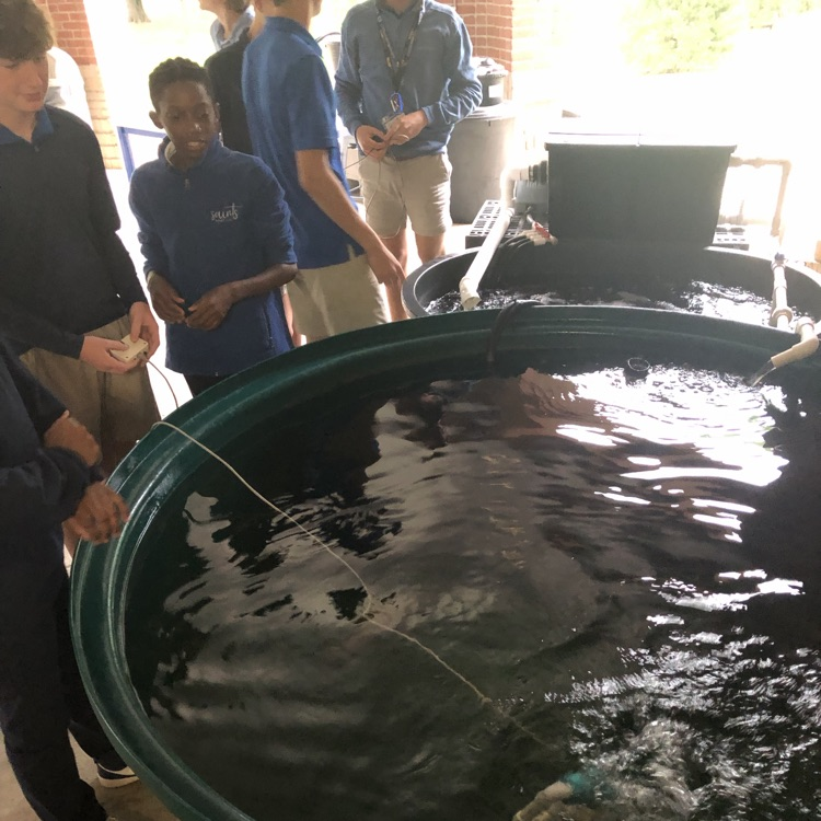 WFMSthebest's tweet photo. Innovation in action! Mr. Craig’s 8th Grade STEM class successfully launched and test drove their newly completed SeaPerch ROV. https://t.co/ekEdMNbUwB