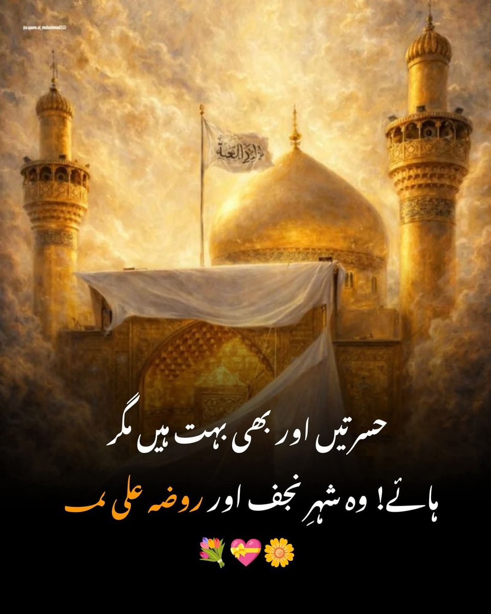Najaf-e-Ashraf (Mola Ali A.S) tweet media