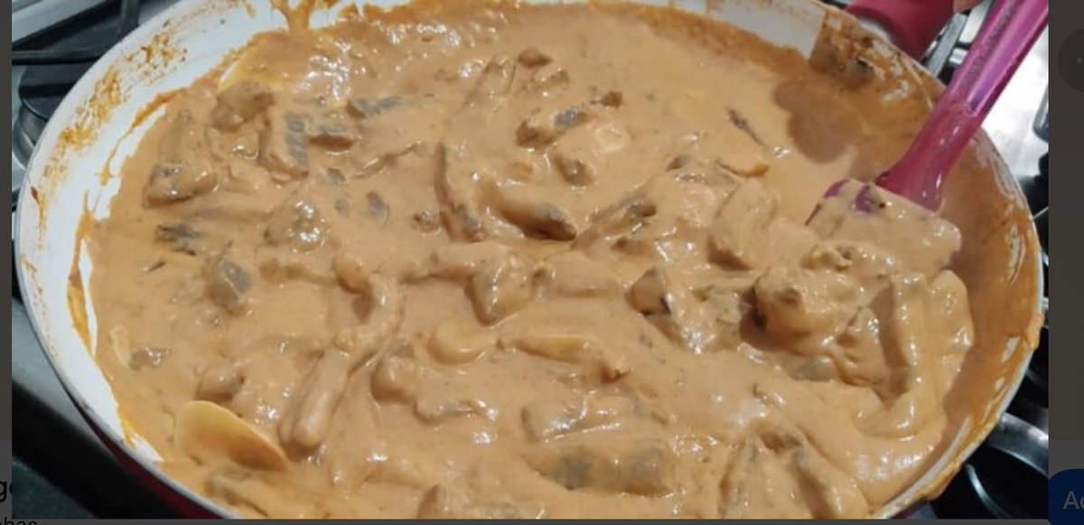 Opinião impopular: estrogonofe é a melhor comida já criada.
Nunca conheci alguém triste comendo estrogonofe.