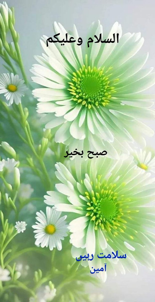 MrAsmatpk1 tweet media