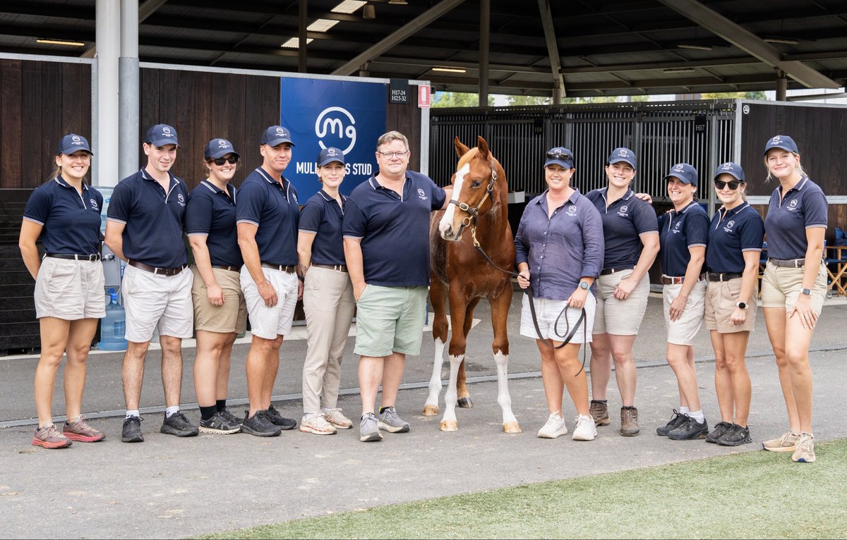 Mullaglass Stud tweet media