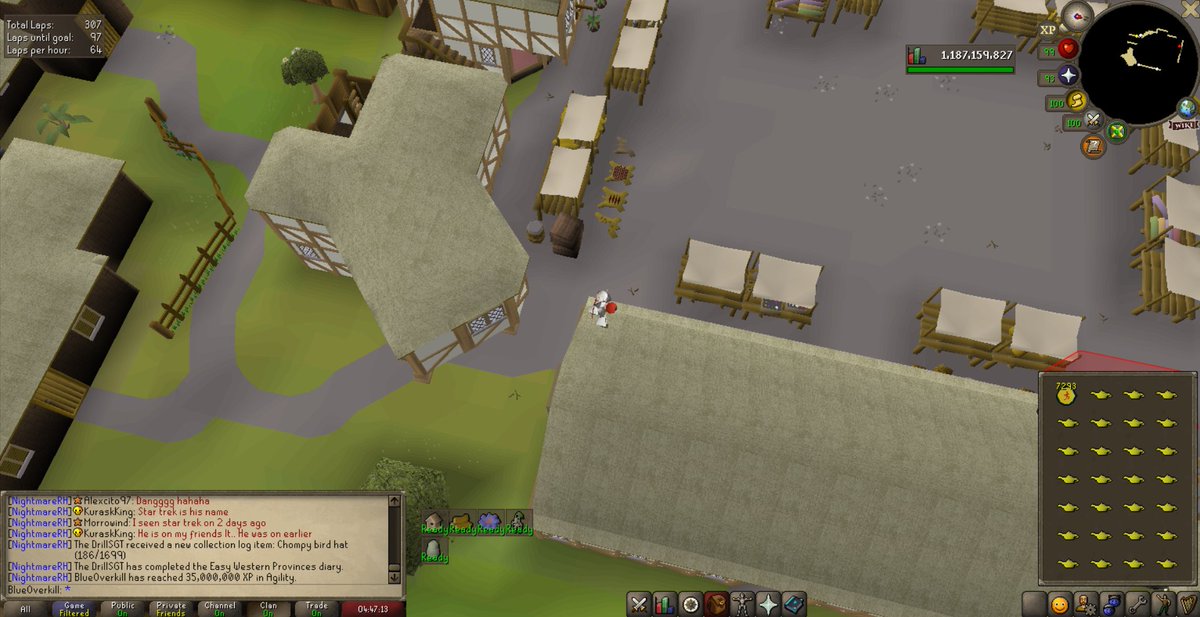 BlueOverkill's tweet photo. 35m agility XP https://t.co/LP4sUI5zk9