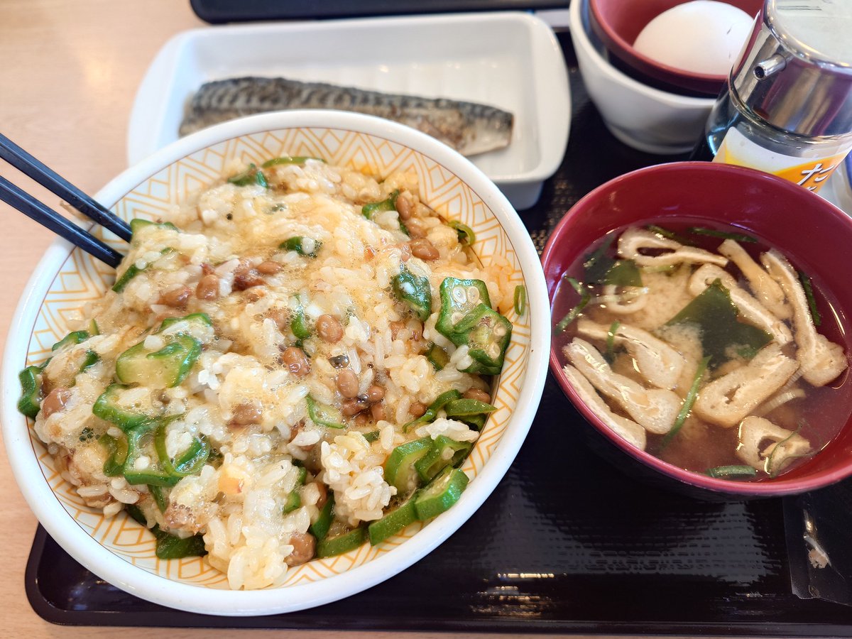 すき家で毎回頼むメニューなんやけど、先輩とか上司に犬の餌って言われてきた食い方
塩鯖混ぜ乗っけ朝食(ご飯大盛り+塩鯖+味噌汁+オクラ温玉)に追加のオクラと生卵と納豆足して970円くらいだったか……
大体、「1人の時にせえ」って言われる