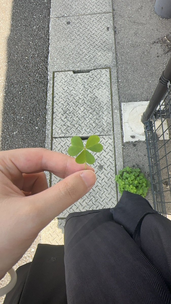 反舌鳥 tweet media