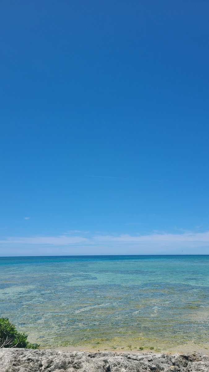 Ot7sCalico's tweet photo. Like an arrow in the blue sky
#SkyForNamjoon #LifeGoseOn https://t.co/vEgV2JgRmq