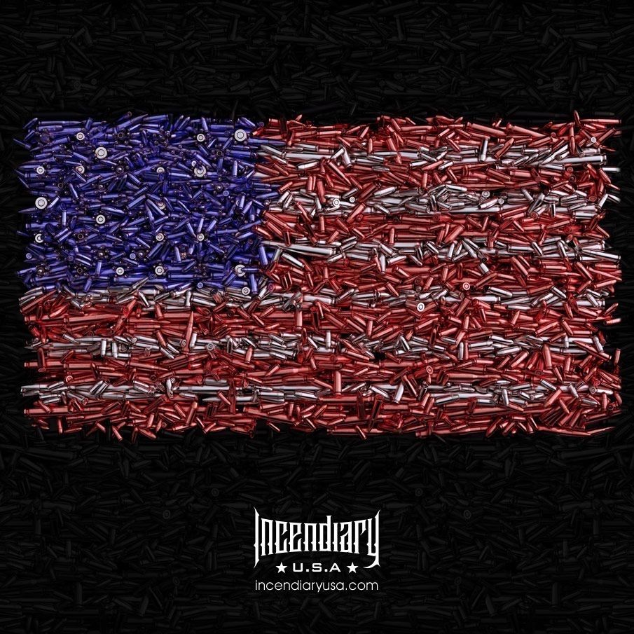incendiaryusa's tweet photo. #america https://t.co/gtvqP5NEzC