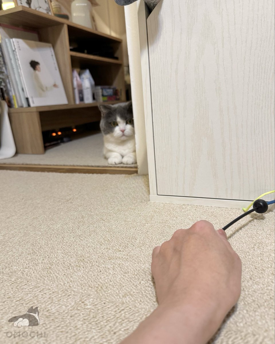 小さい頃から変わらないね☺️