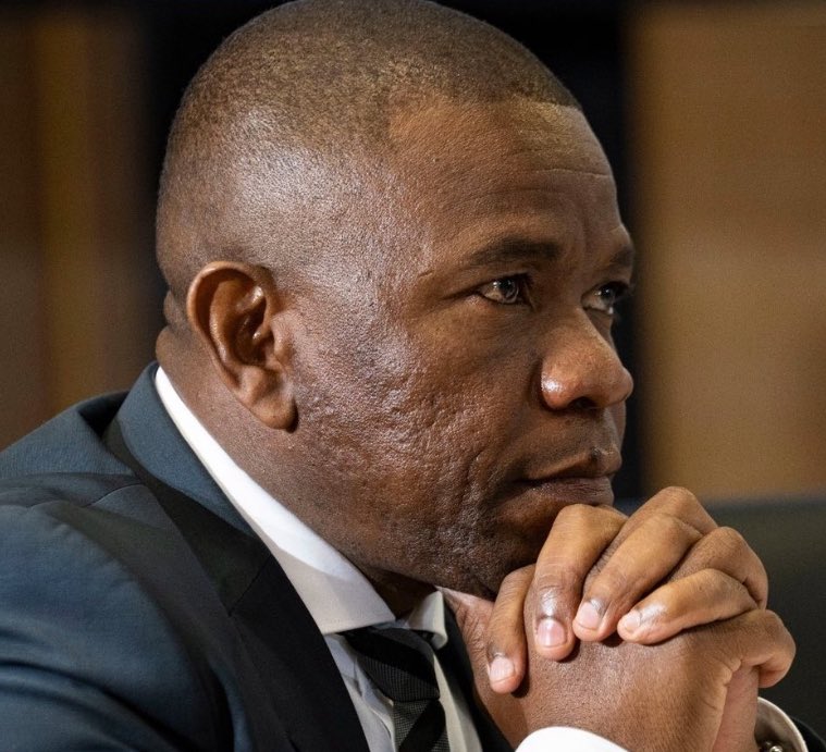 Thank you, Bab Mkhwanazi.  All the parliamentarians you told us about are coming out. Continue doing the Lord's work 🙌🏽