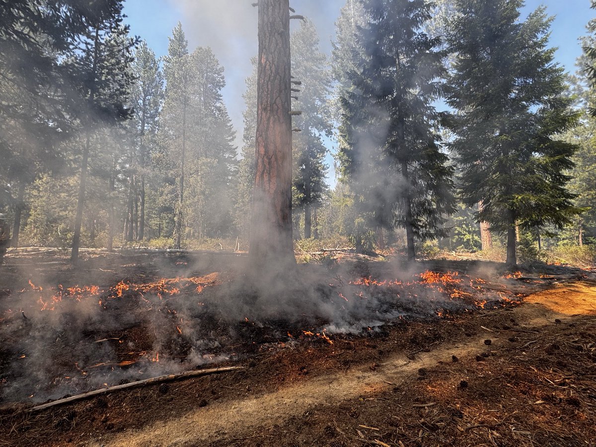 Central OR Fire Info tweet media