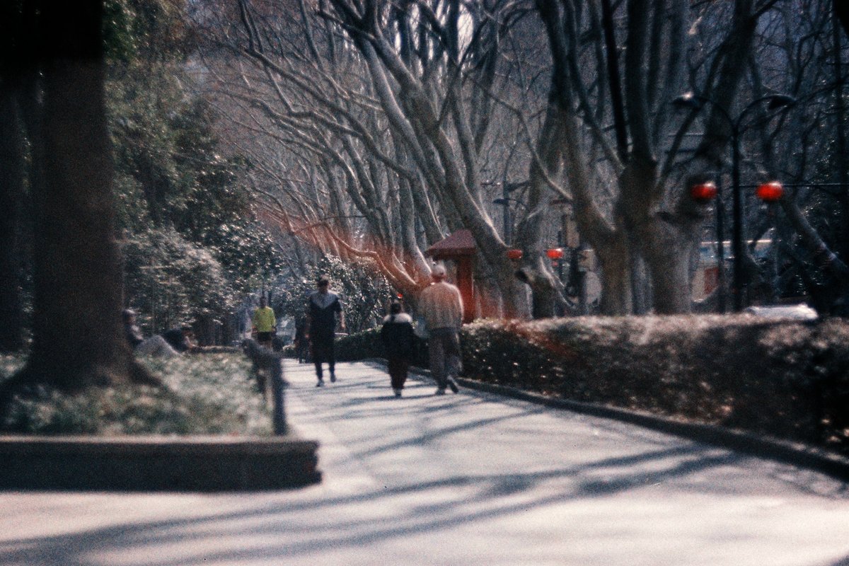 moorchegue's tweet photo. Organized Thicket
Wolfen NC500 400 -> Lab
#filmphotography, #filmphoto, #colorfilm, #analog, #analogphotography, #retro, #photography, #park, #alley, #walk, #people, #stroll, #streetphotography https://t.co/awnagEGPL3