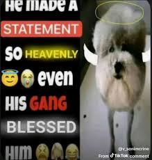 𝕭𝖑𝖚4 tweet media