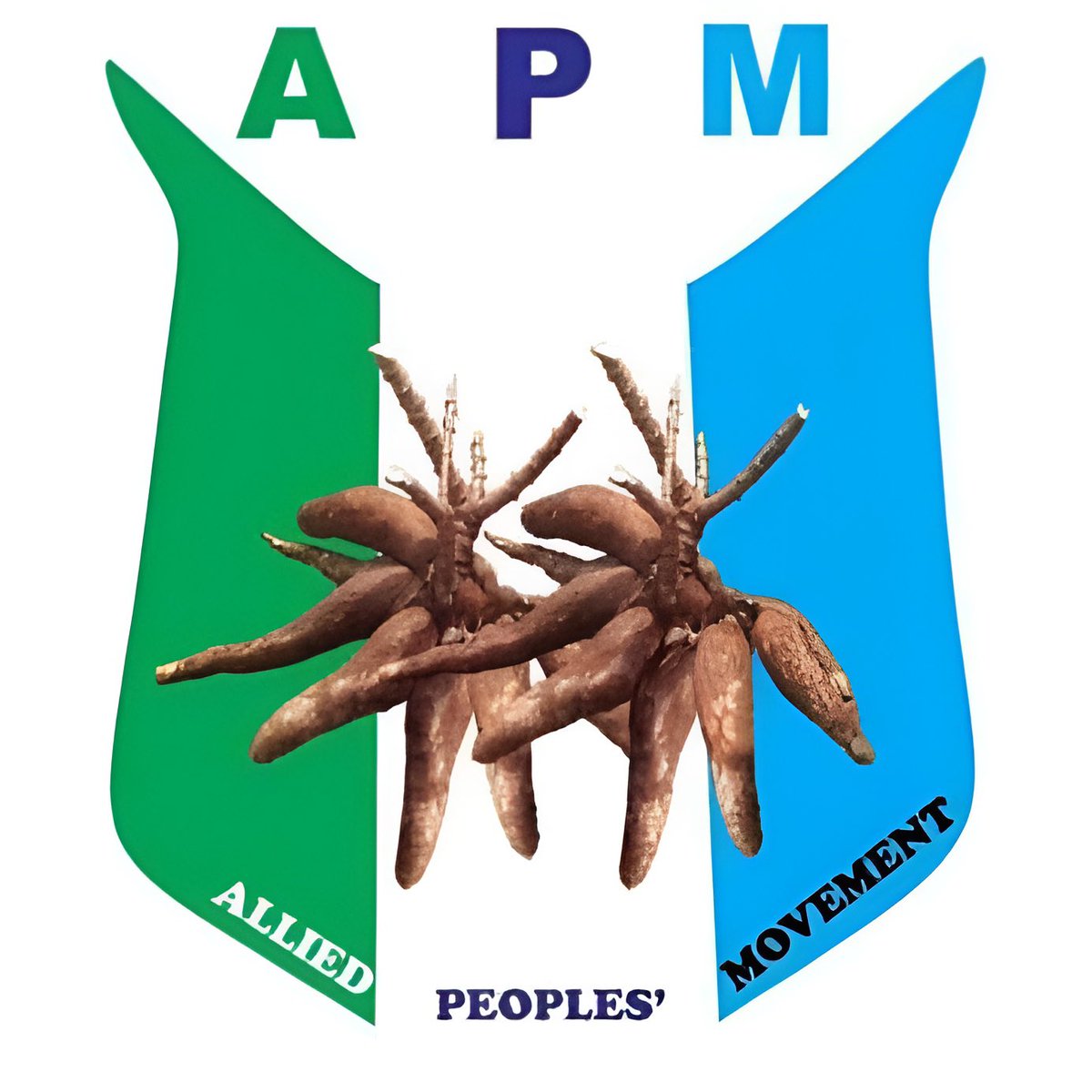 Allied Peoples’ Movement Oyo State tweet media