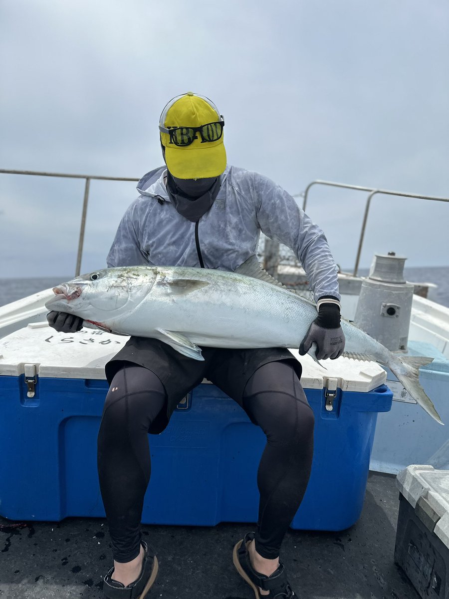 TOKARAsukosuko's tweet photo. これなんていうお魚ですか？
釣りも始めたばかりで、あまり魚には詳しくないのでよくわかりません💦
とから列島ってところで釣りました
20kg強ぐらいです https://t.co/yUjGplWNVt