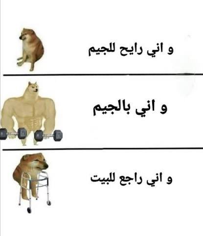 cq_v21's tweet photo. برعاية الزعيم اليوم https://t.co/uJRjLBzhgk