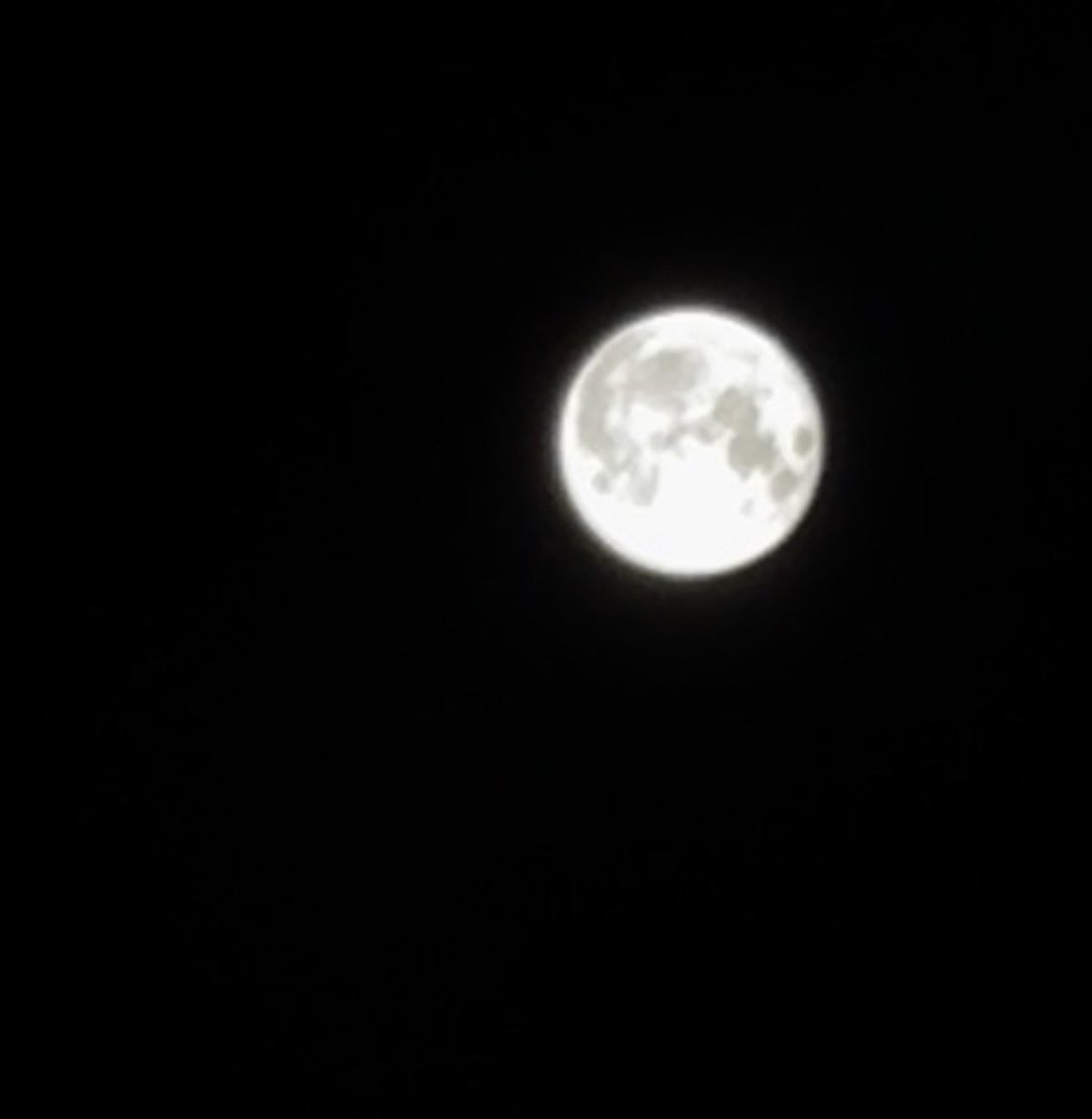 prnczzOFpolriz's tweet photo. a picture of the moon i took a few days ago ; https://t.co/AjDGIGnThz