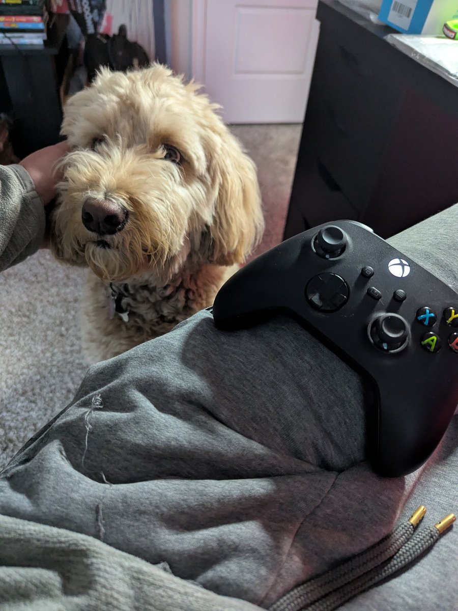 quintoncoco's tweet photo. Owen doesn't understand that controllers take both hands. And frankly, he doesn't care. https://t.co/QgwVEv6JNZ