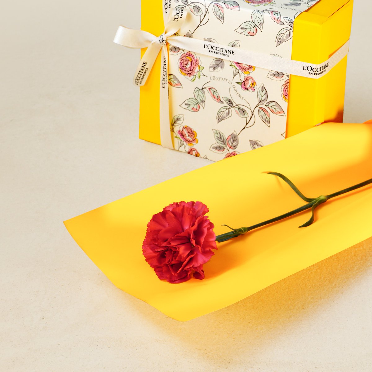 ロクシタン 公式 (@loccitane_jp) / Posts / X