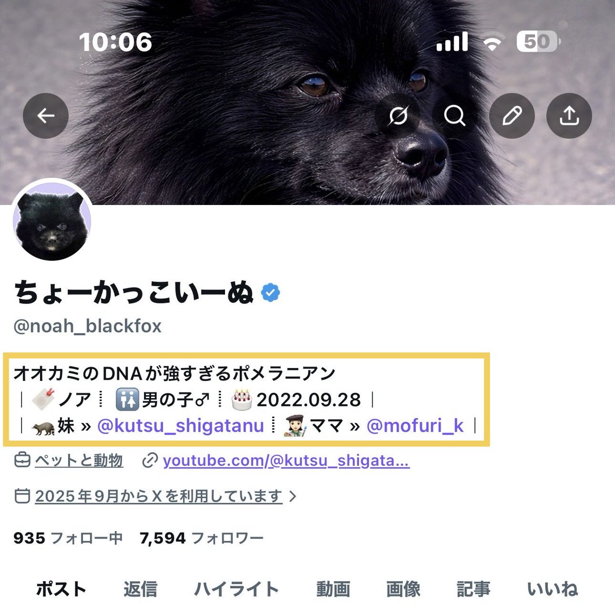 かぷちいぬ@プロフィール必読 💡意外と知られてないXの豆知識📝 プロフィール改行できるようになってる