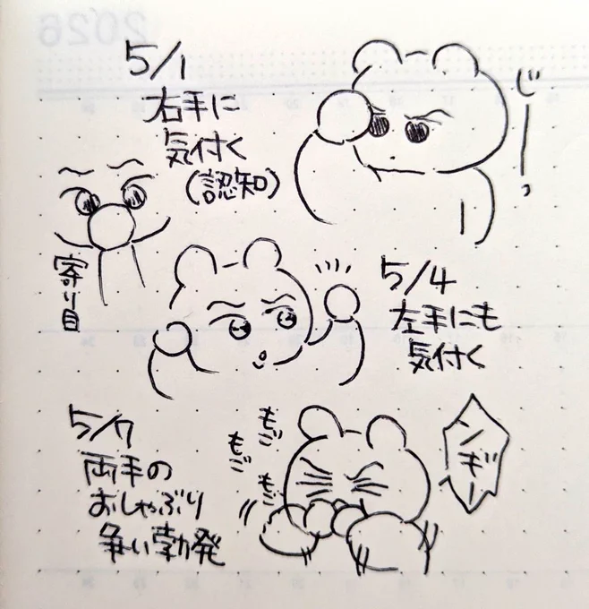 ついに見つけた✊️👶 