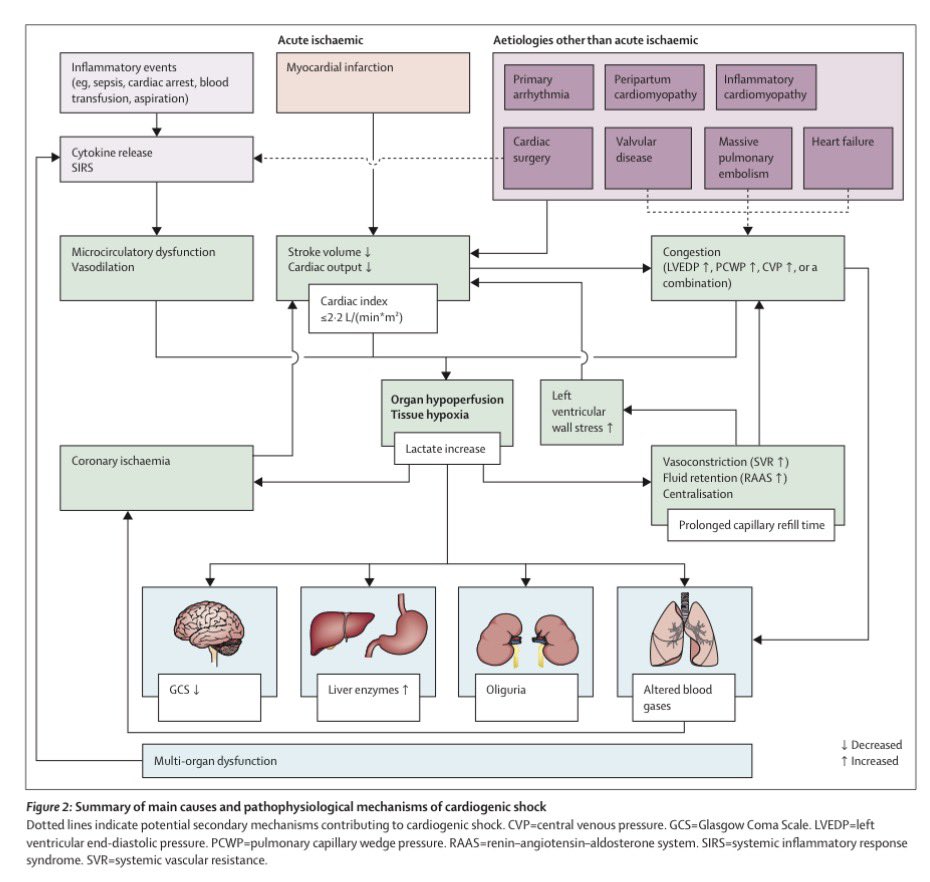cardiopedhnn's tweet photo. Cardiogenic shock 

https://t.co/txw3Bg5CfO

https://t.co/JePbkZjIAs https://t.co/idYrbxKhCJ