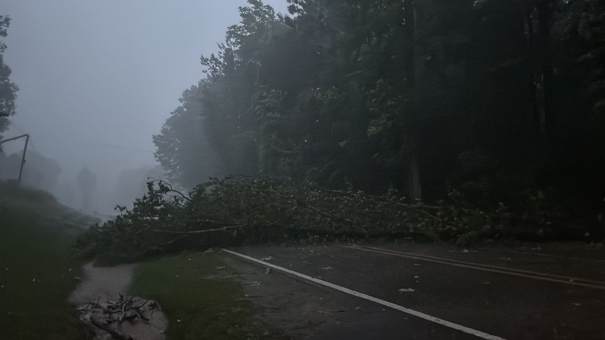 Tornado🌪️ Allie tweet media