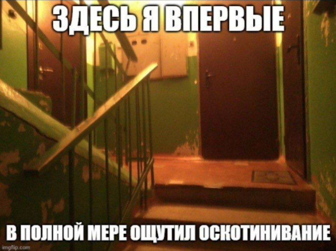 полпятого утра, кошечка. пора открывать паверпоинт.