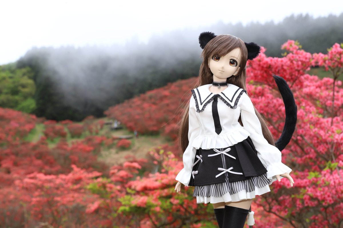 azuchi3's tweet photo. ただいま、太陽待ちです。 https://t.co/THZGckQ1Dw