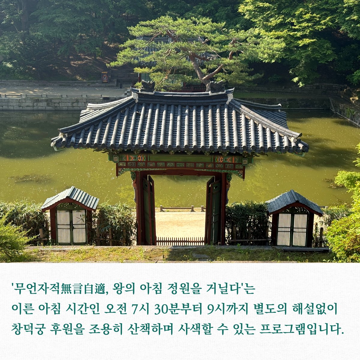 창덕궁 tweet media