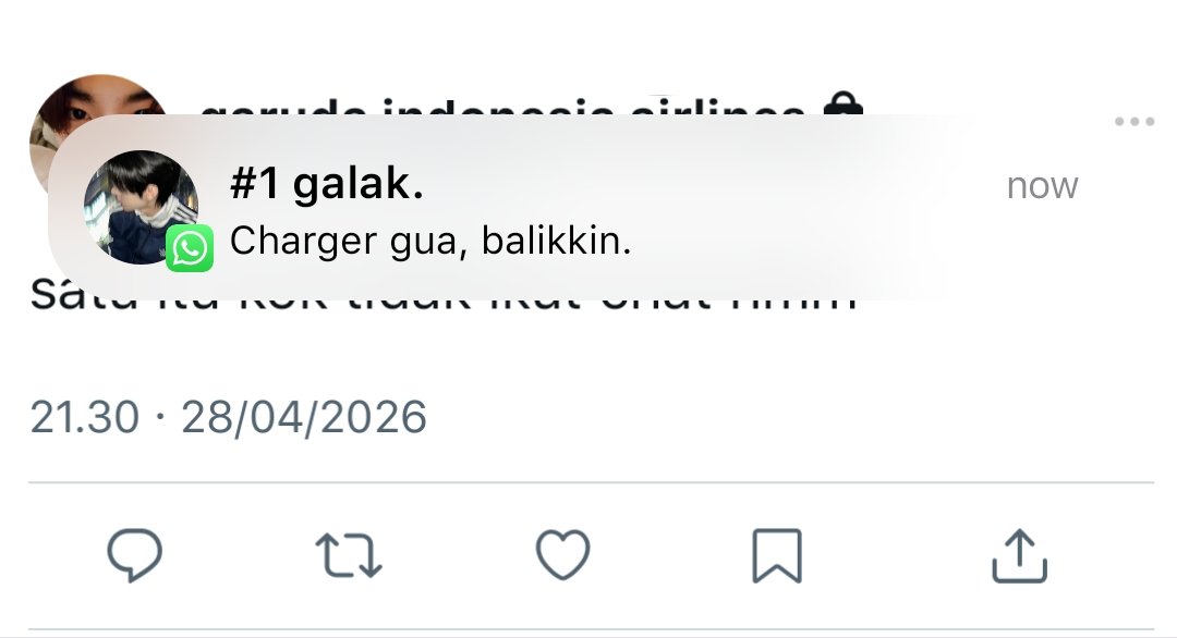 🫧 tweet media