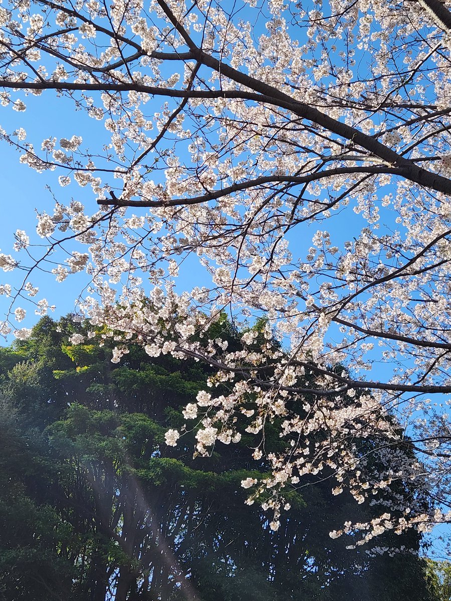 誕生日だぜーー！！🎈
また1つ歳を重ねました
たくさんの素敵なご縁に感謝しております、本当に
目の前のことにしっかりと向き合いながら、自分の"好き"を信じて、これからも頑張っていきます！

6月のふたり芝居もぜひ観に来てね✨
ご予約↓
ssl.form-mailer.jp/fms/f1432c0288…

ところで26歳ってアラサーなの？
