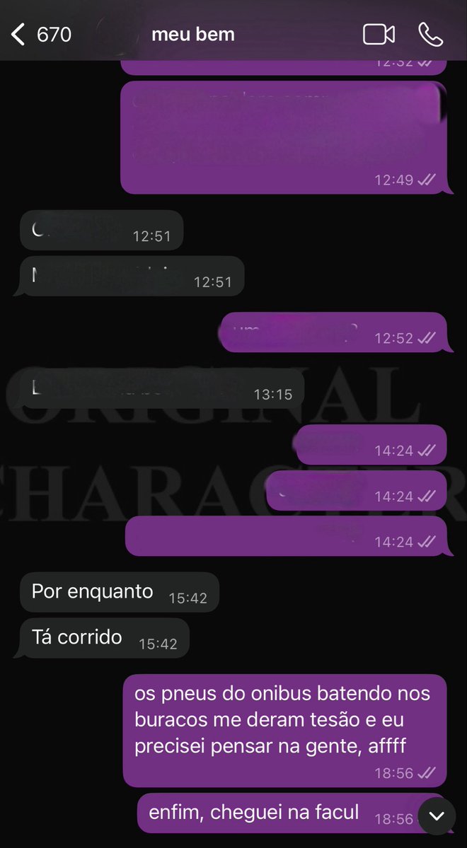 chinchila 🔮 tweet media