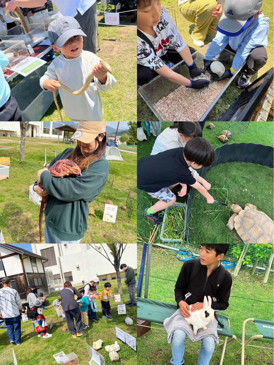 🎪ふれあい動物園GW3日間開催✨

ご来場いただいた皆さまありがとうございました‼️
たくさんの方に動物たちとふれあっていただけて嬉しかったです☺️

スタッフ・関係者の皆さまも3日間お疲れ様でした🙇‍♀️✨

またよろしくお願い致します🦎🐹