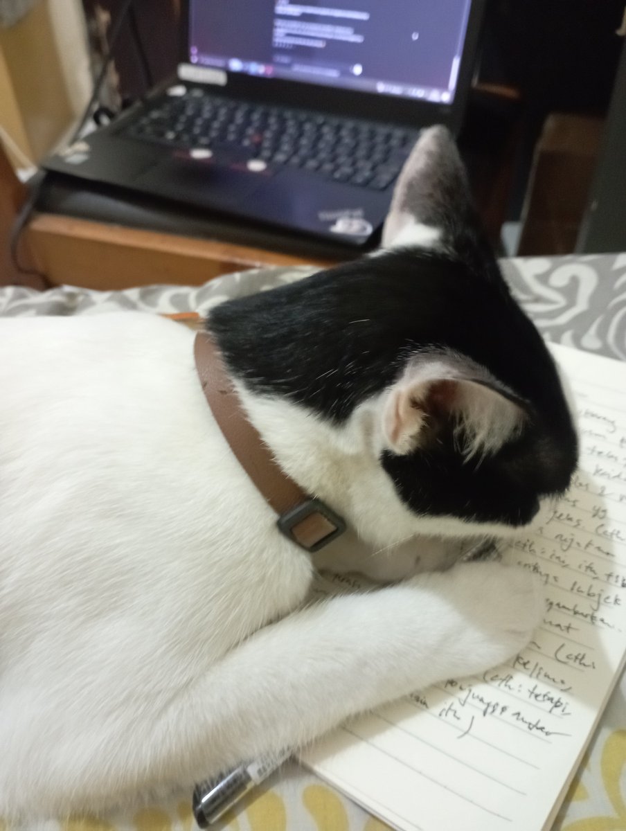 Lada Andaliman =^._.^= ∫ tweet media