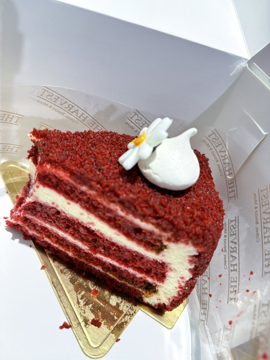 luaiinth's tweet photo. ril iphone 16 ditangan yang salah, m-maksud gue kayak… MAU FOTO SEONGGOK CAKE AJA GABISA LO SA?!? https://t.co/ku48QzJ84y