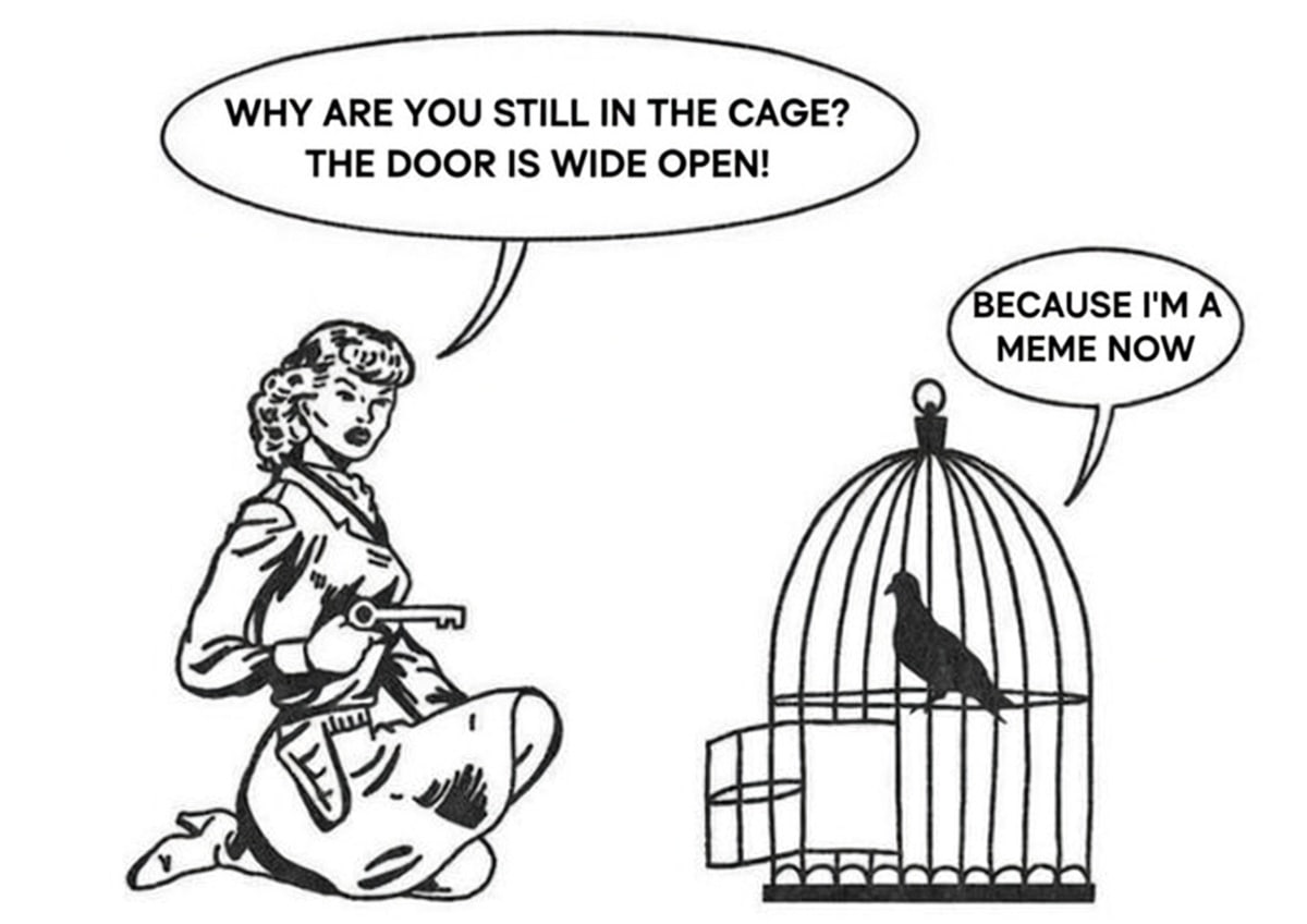 The Cage tweet media