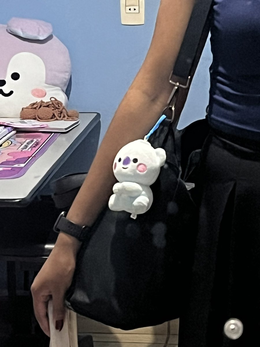 cryjoonn's tweet photo. @UGHSPACE @ifsning Para sempre eu e o Koya contra os perigos do mundo CLT https://t.co/06MTPiWb1R