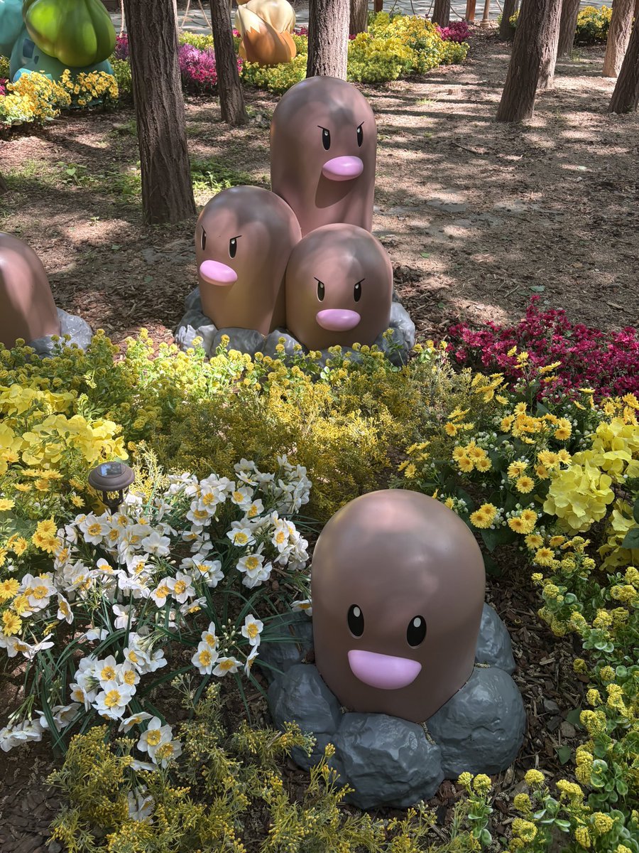 nomucho Community Ambassador Japan Aichi tweet media
