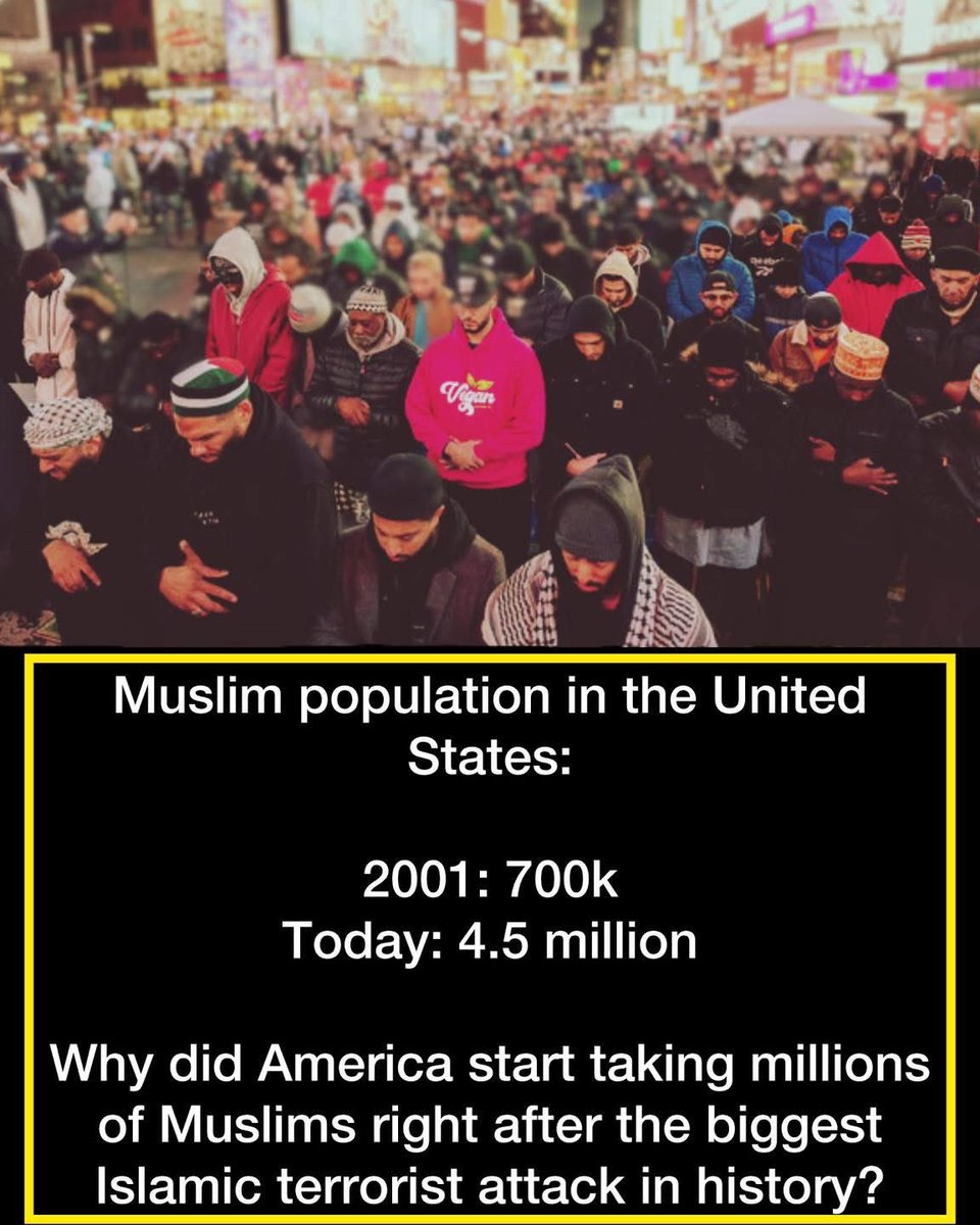 AmericaFirstJD tweet media