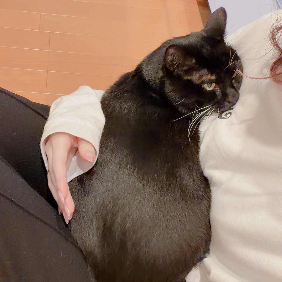 🐈‍⬛なと🐈‍⬛ tweet media