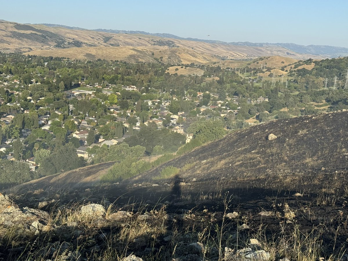 calfireSCU's tweet photo. 📸 Visuals from the #CurryFire in San Jose.
@calfireSCU and @SJFD remain on scene. Great work by crews stopping the fire at approximately 25 acres in size. 🚒🙌 #CALFIRE #SJFD https://t.co/EnvwxhSP8P