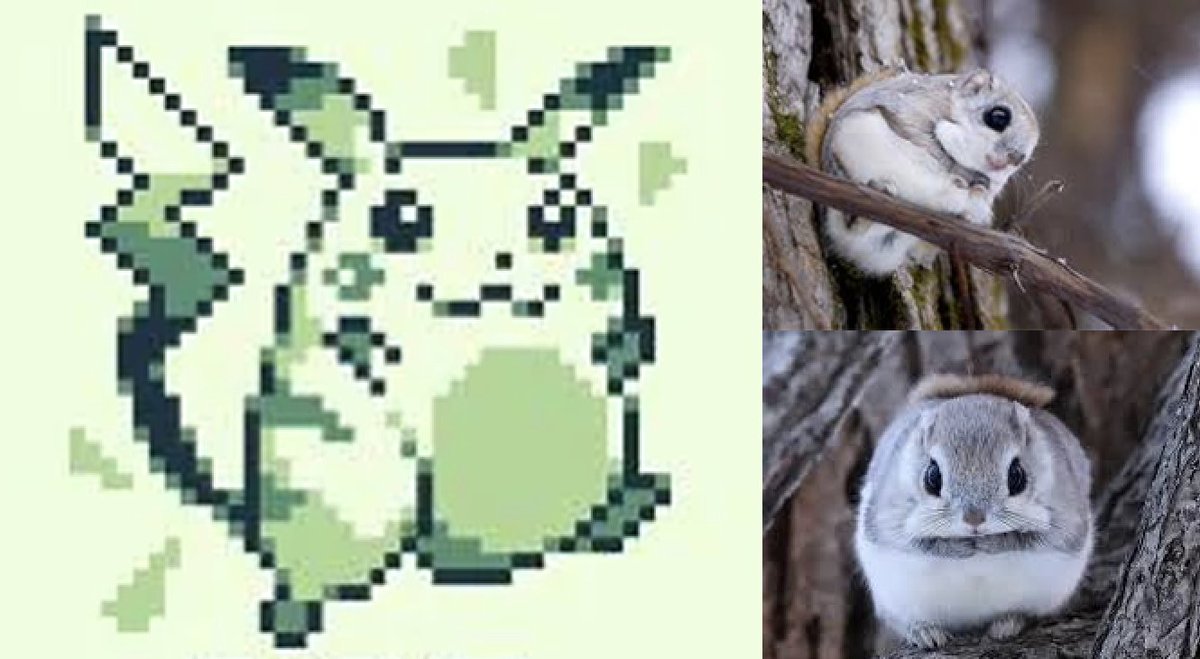 Did you know Pikachu was based on a Squirrel and not a Mouse? The ...